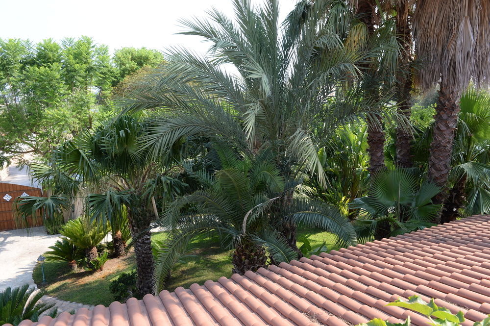 Il Giardino Delle Jacaranda Bed & Breakfast Талсано Екстериор снимка